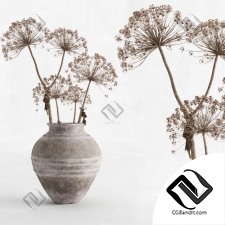 Букет Bouquet Hogweed in a clay vase