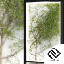 Фитостены 65