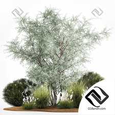 Набор растений 54