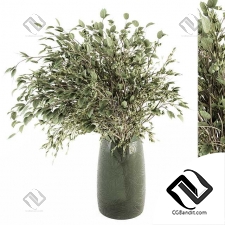 Букеты Green Branch in vase
