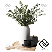 Декоративный набор Bouquet of eucalyptus in a white vase