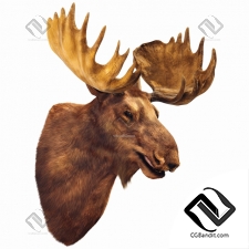 Голова Лося Elk Head 17