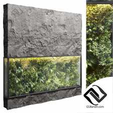 Фитостены 08