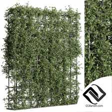 Фитостены Vertical Garden 98