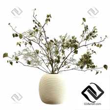 Букеты из веток