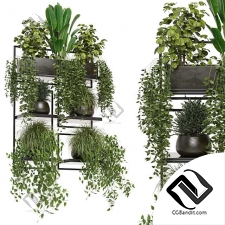 indoor plants in rusty concrete pot on metal shelf - Set 207