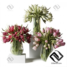 Букеты tulips 39