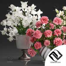 Набор букетов 110. Белые букеты, цветы, ваза, Пионы, Белые тюльпаны, Ирис
