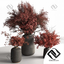 Букет красных веток