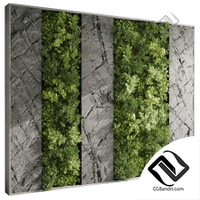 Фитостены 16