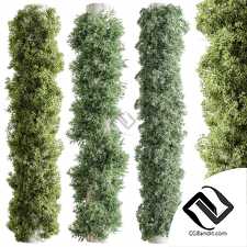 Фитостены Vertical Garden 46