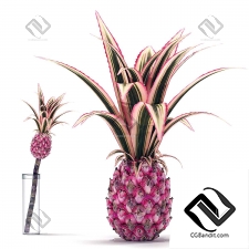 Decorative pink pineapple