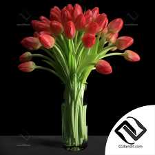 Букет Bouquet Red tulips