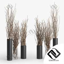 Букеты Dry Branch