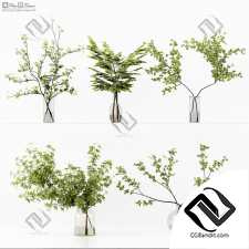 Букеты collection 02