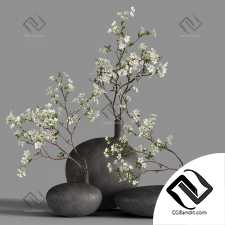 Букеты Ветки цветущей вишни