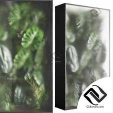 Фитостены 23