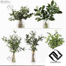 Букеты collection