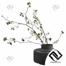 Букеты из веток 11