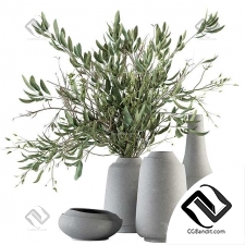 Декоративный набор Vase and Plant