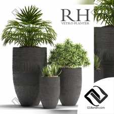 Уличные растения Street plants RH