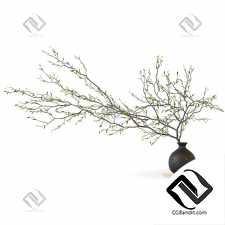 Букеты из веток 10