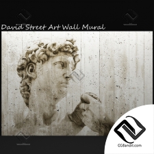 Фотообои с изображением Дэвида стрит-арта David Street Art Wall Mural