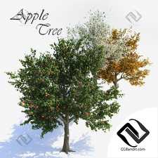 Деревья Apple