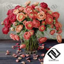 Букет Bouquet Ranunculus 03