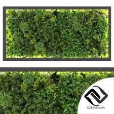 Фитостены Vertical 02