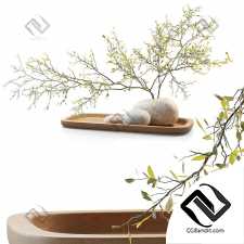 Букеты ветка сливы