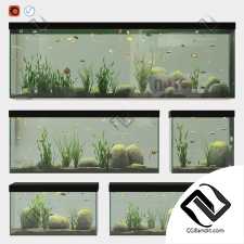 5 аквариумов aquariums