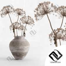 Букет Bouquet Hogweed in a clay vase