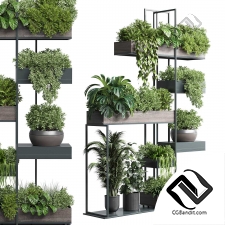 Standing metal shelf with a set of plants