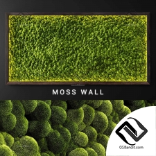 Фитостены Moss wall