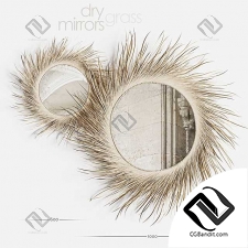 Зеркала Dry Grass