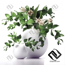Букет Bouquet Branch and flowers in a vase