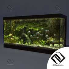 Аквариум Aquarium 33