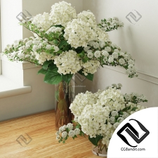 Букет Bouquet Hydrangea 21