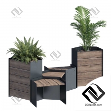 Уличные растения 327