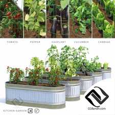 Уличные растения Street plants Kitchen garden 02