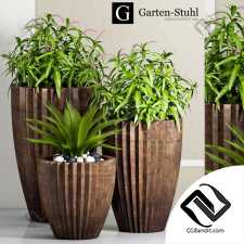 Уличные растения Street plants garden-stuhl