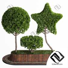 Топиарные деревья