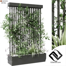 Комнатные растения vertical
