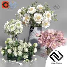 Букет Bouquet White and Pink tone Peonies