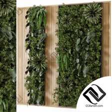 Фитостены Vertical Garden