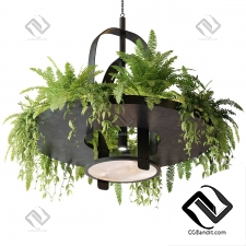 Подвесной светильник with plants