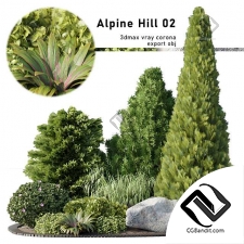 Уличные растения Alpine Hill 17