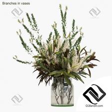 Букет Bouquet Branches in vases