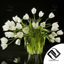 Букеты Tulips